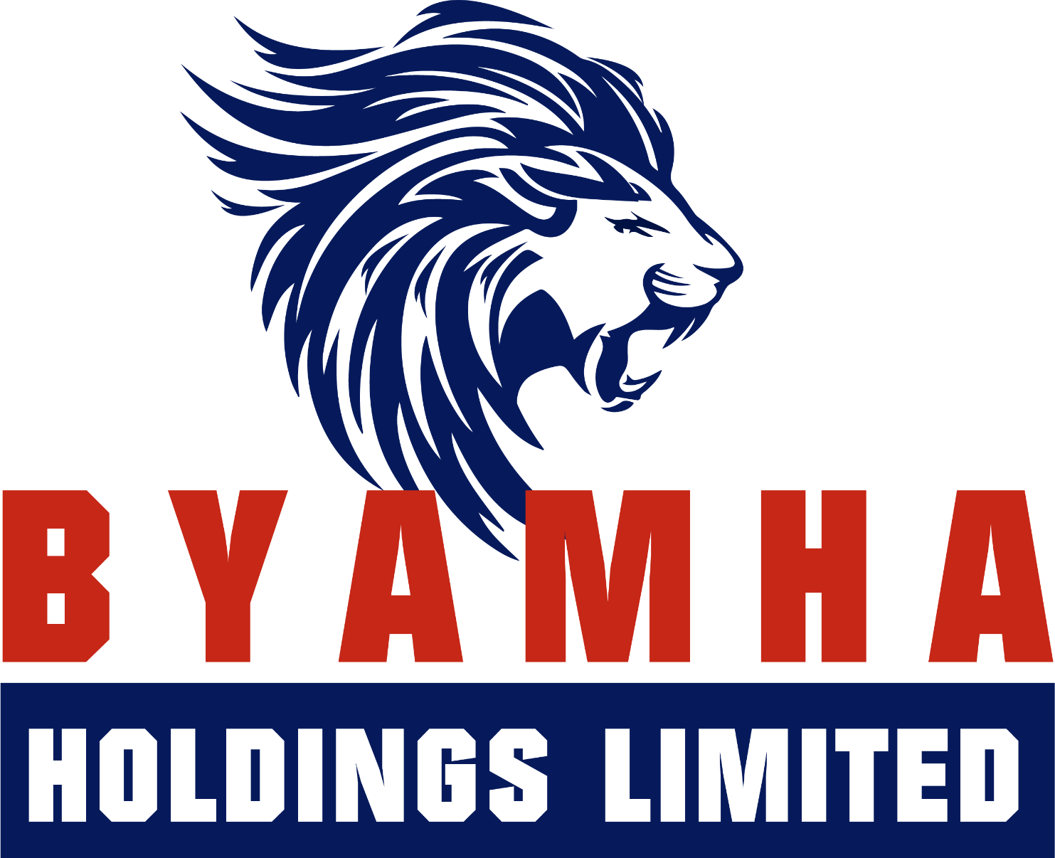 BYAMHA Holdings Limited logo